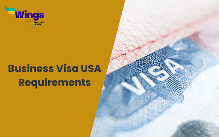 Requirements for an entrepreneur visa to the US in 2024