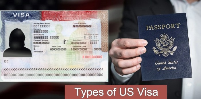 Requirements for an entrepreneur visa to the US in 2024